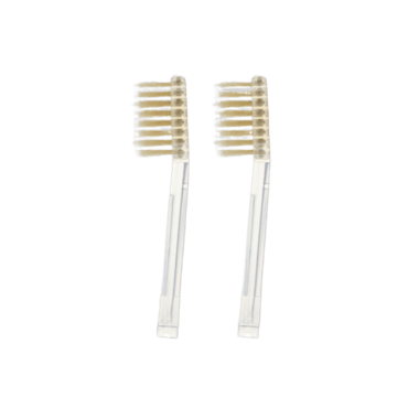 Ionic Toothbrush Replacement Head