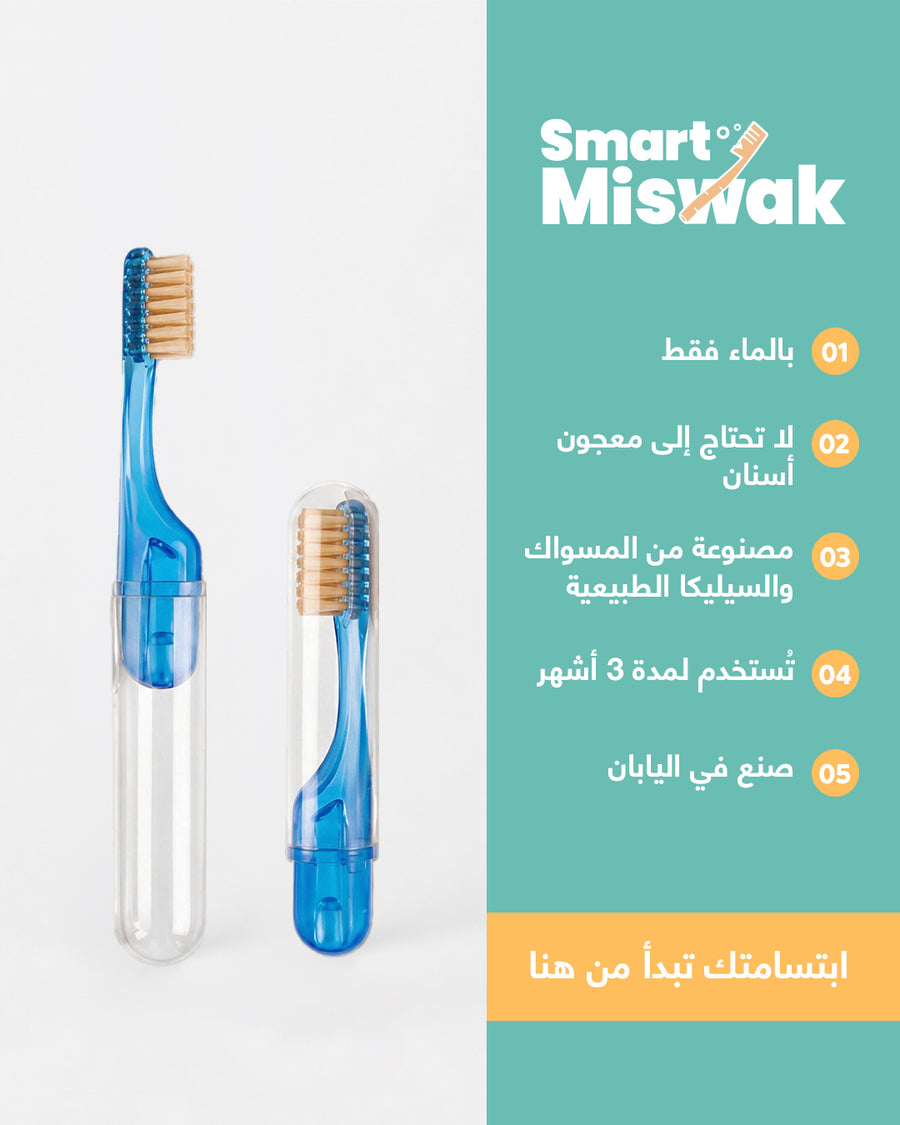 Portable smart miswak toothbrush