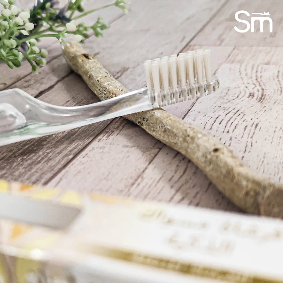 Portable Smart Miswak Toothbrush