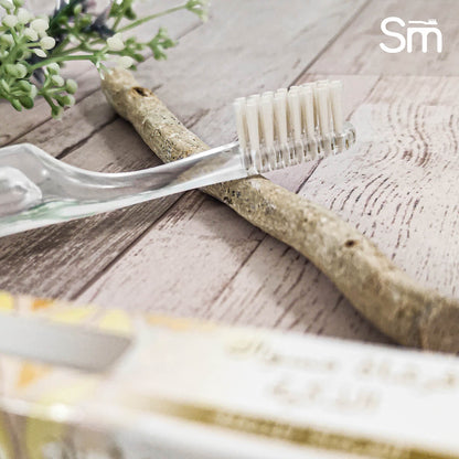 Portable Smart Miswak Toothbrush